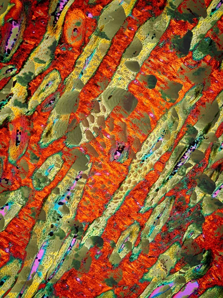 Gallery 1 — Richard Ehrlich Family Foundation